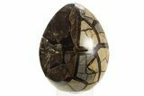 Septarian Dragon Egg Geode - Black Crystals #323470-2